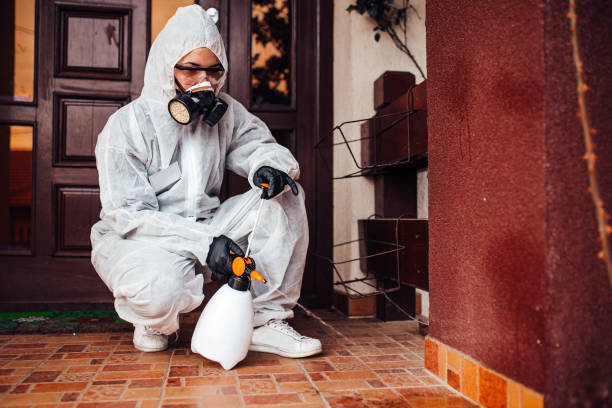 Reliable Ant Control contractor in Orange Park, FL by Nex Pest Control